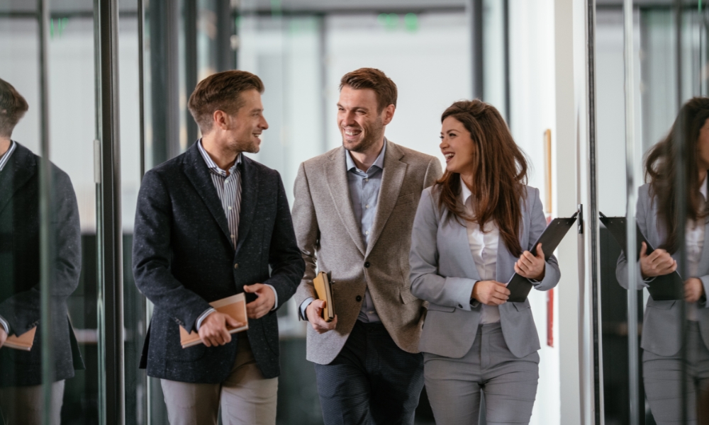 webinar sap DDM