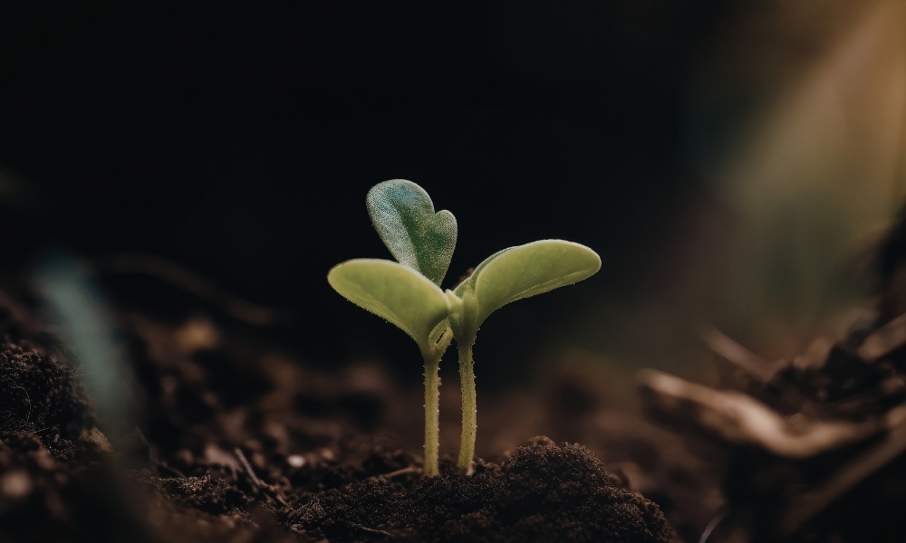 il potere dei near miss prevenire gli incidenti con l&rsquo;intelligence dal basso