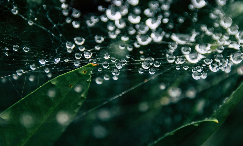 gestione fornitori 4.0 rating di performance e zero tolerance per una supply chain sicura