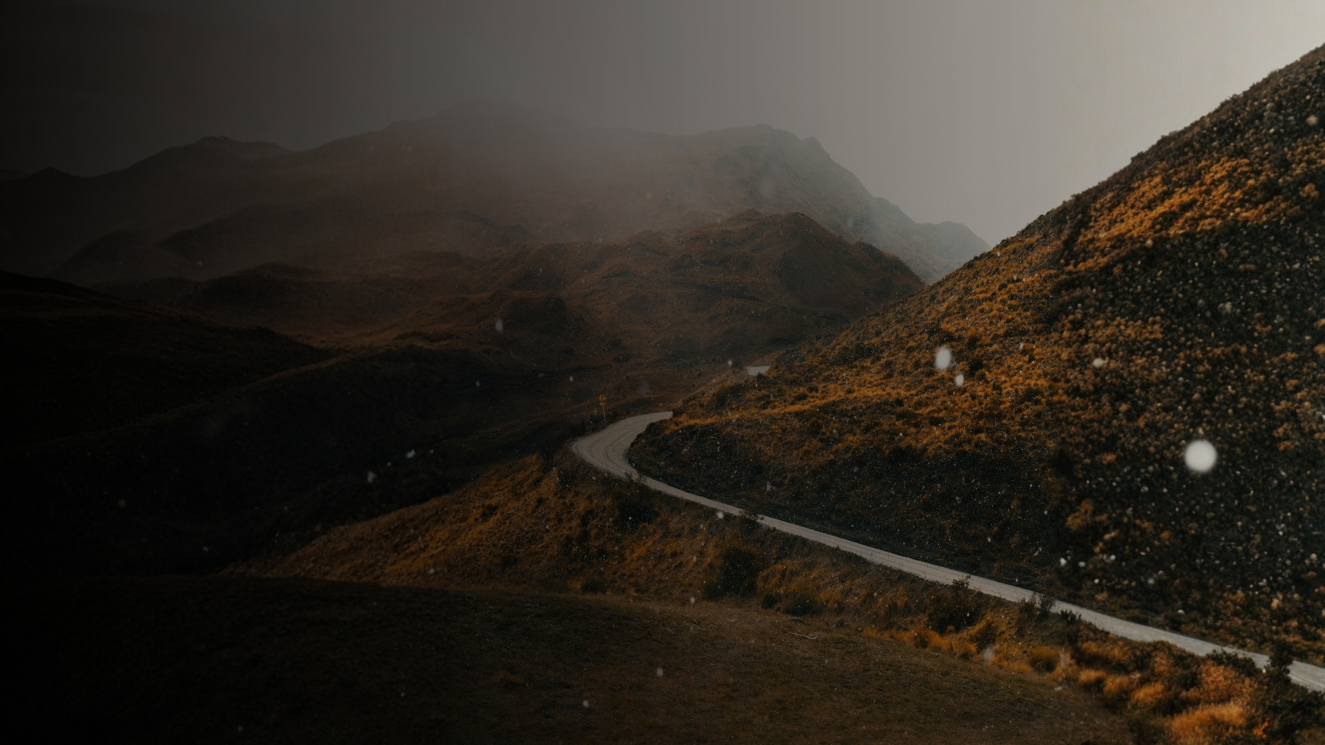 cessioni intra ue ebook